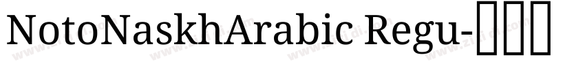 NotoNaskhArabic Regu字体转换